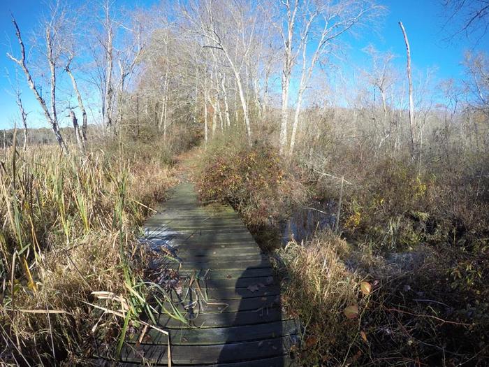 D.R. Henne Memorial & Shunock Brook Preserves