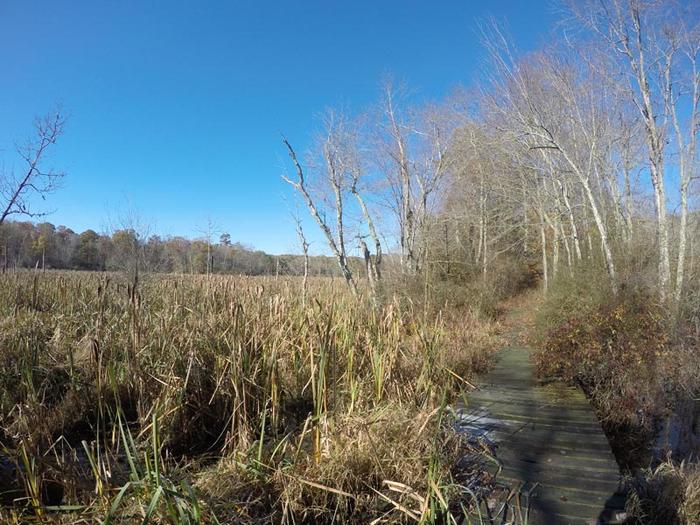 D.R. Henne Memorial & Shunock Brook Preserves