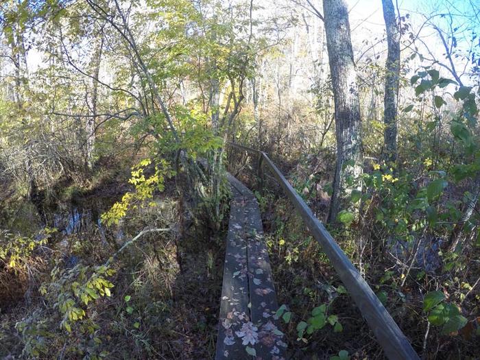 D.R. Henne Memorial & Shunock Brook Preserves