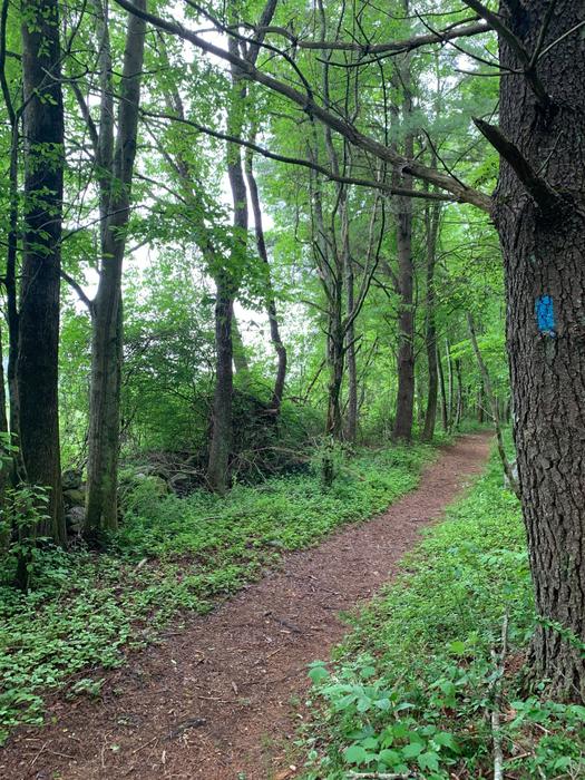 Hubbard Sanctuary & Agnes' Pasture
