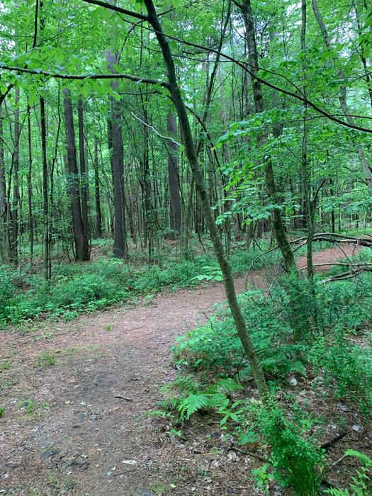 Hubbard Sanctuary & Agnes' Pasture