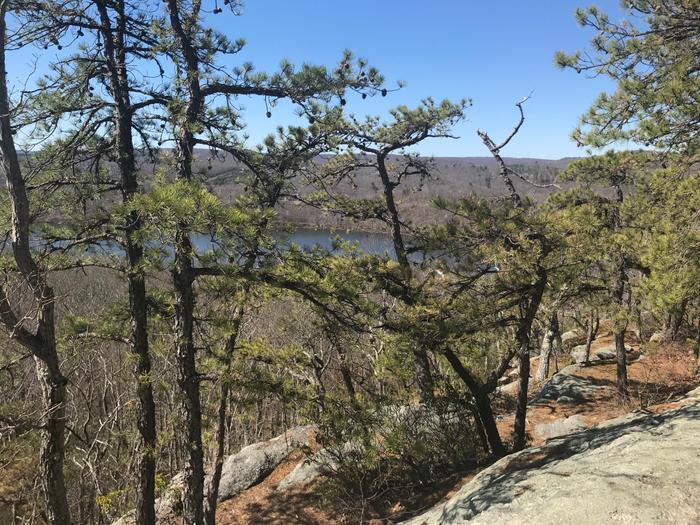 View from Split Rock vista, on the Red Trail at Hurd State Park. (Credit: Kim Bradley)