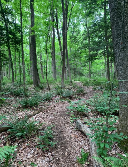 Elizabeth Couch Preserve