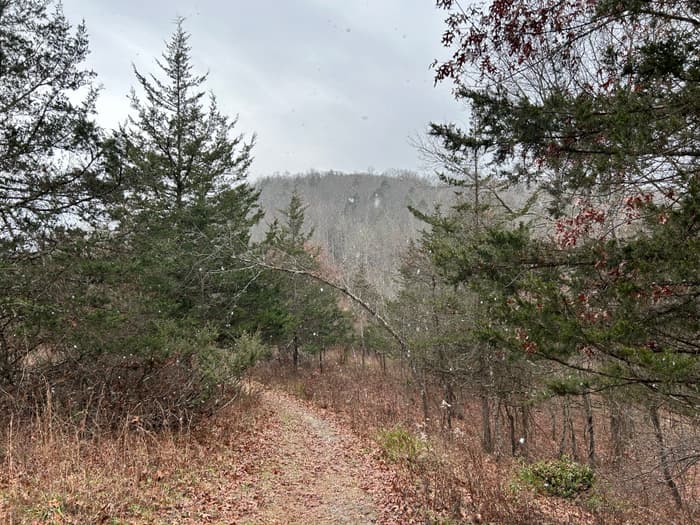 Cobble Brook Vista Preserve