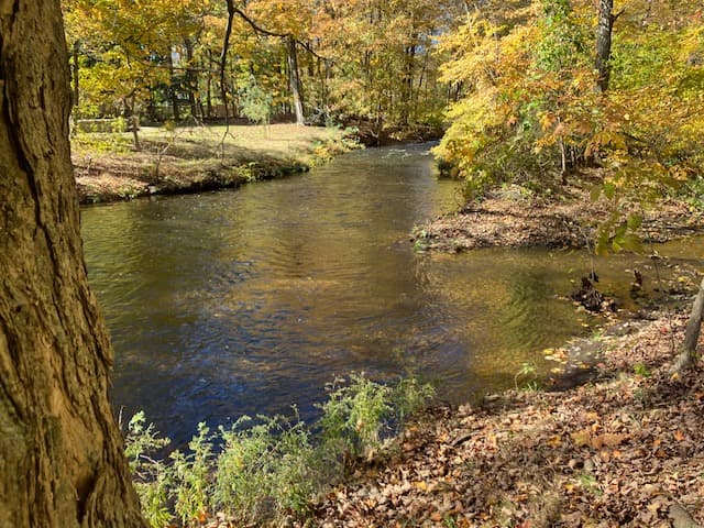 West River Greenway - Edgewood Park to Pond Lily Preserve