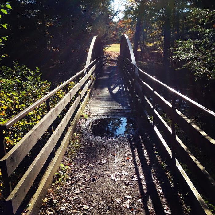 Bridge on camping trail at Black Rock State Park. (Credit: Kim Bradley)