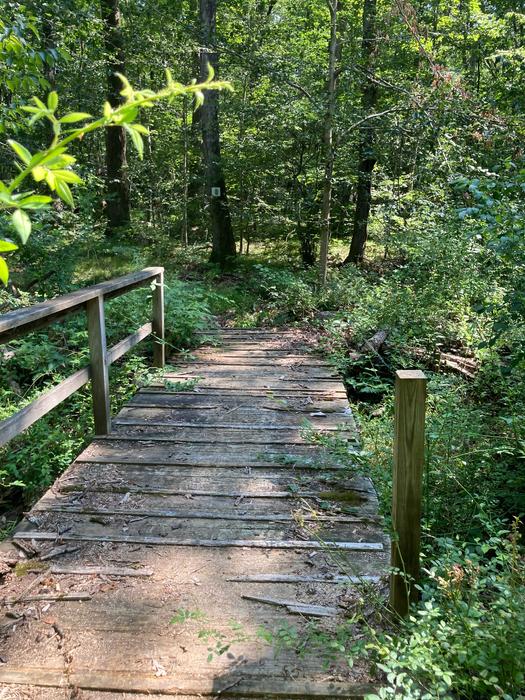 Dillon Road to Amity Road (Woodbridge Greenway)