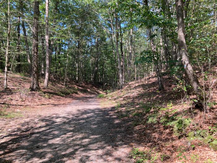 Dillon Road to Amity Road (Woodbridge Greenway)