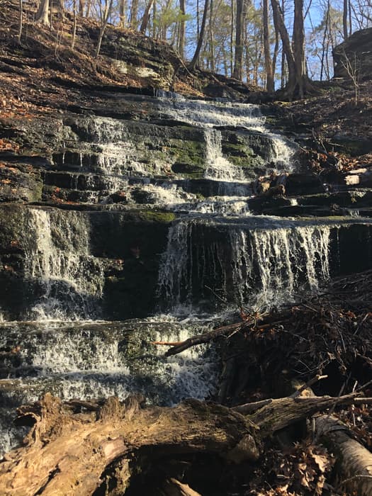 Wadsworth Falls (Credit: Emily Wilson)