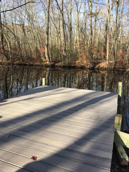 frog pond platform (Credit: Linda Anderson)