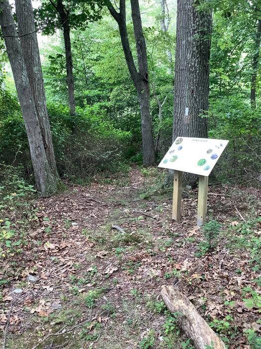 Partrick Wetlands