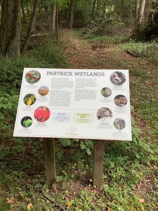 Partrick Wetlands