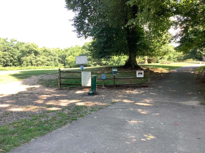 Water fountain for dogs