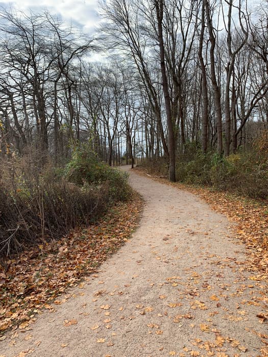 Shoreline Greenway