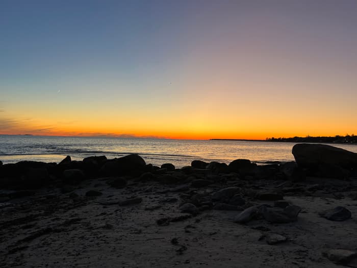 (Credit: Emily Wilson)