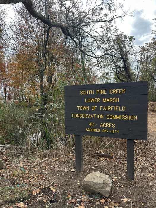South Pine Creek Lower Marsh Trail