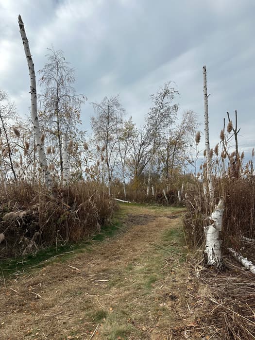South Pine Creek Lower Marsh Trail