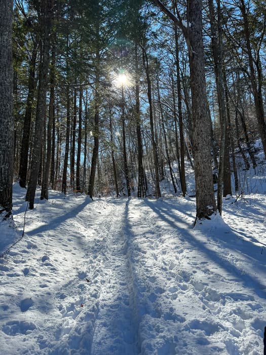 (Credit: Emily Wilson)