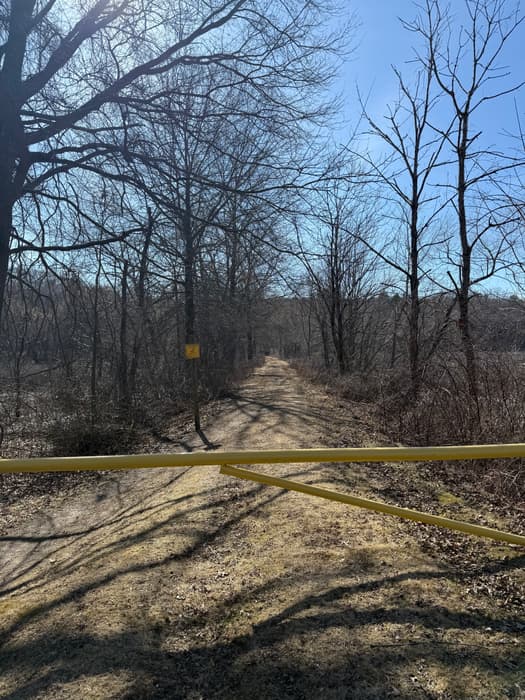 a dirt/grass trail between wetland areas in sunny late winter (Credit: Emily Wilson)
