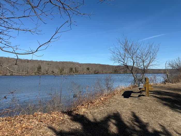 A bench on an overlook of the river (Credit: Emily Wilson)