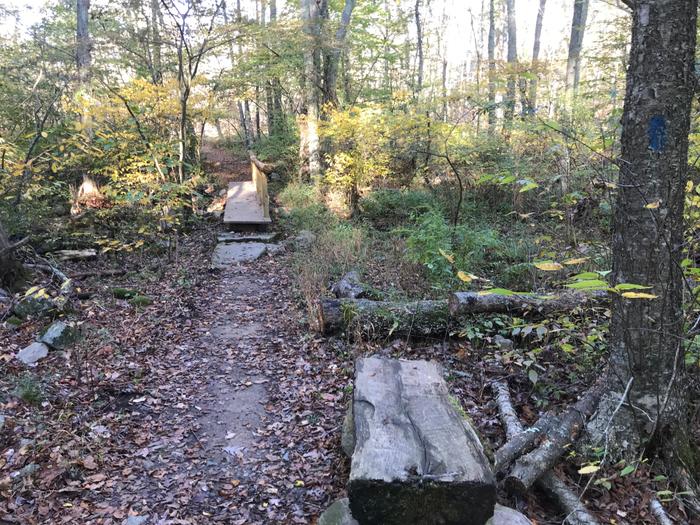 Wooden Bridge at Paffard Woods Preserve (Credit: Dale Wilson)