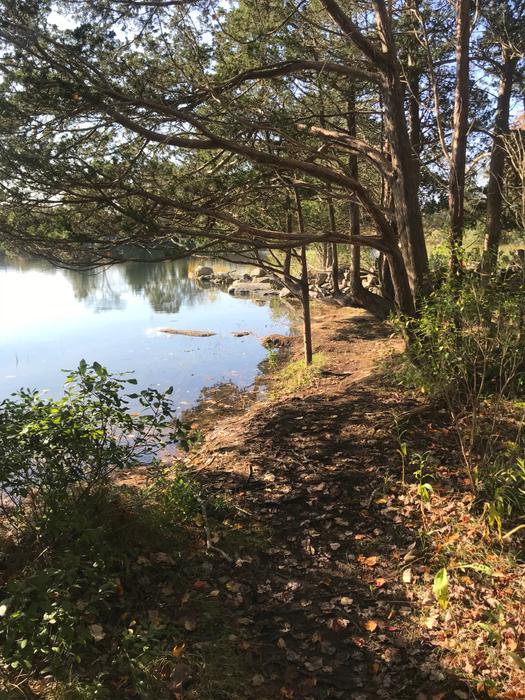 View of Paffard Marsh from Paffard Woods Preserve. (Credit: Dale Wilson)