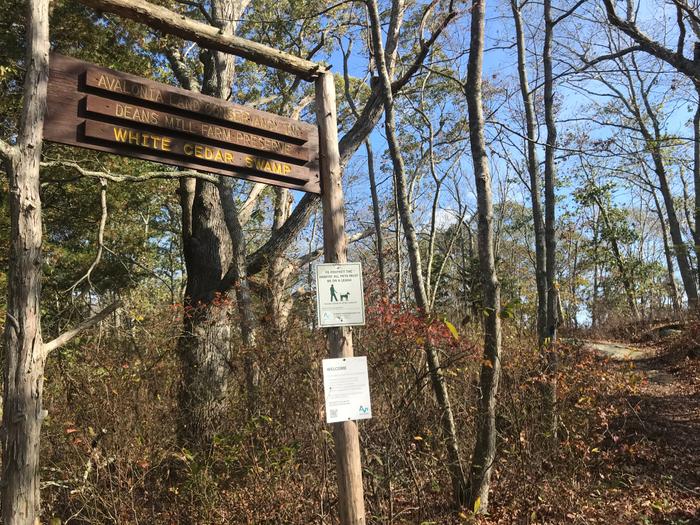 (Credit: Dale Wilson)