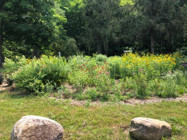 Pollinator Garden at Patrell (Credit: Gary Wilson)