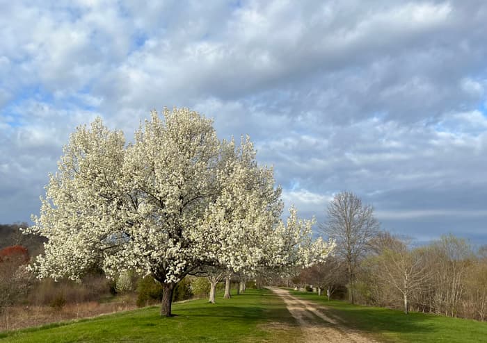 (Credit: Emily Wilson)