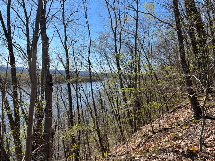 (Credit: Emily Wilson)