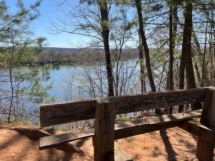 (Credit: Emily Wilson)