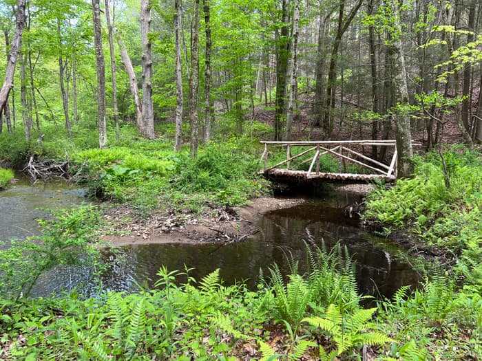 (Credit: Emily Wilson)