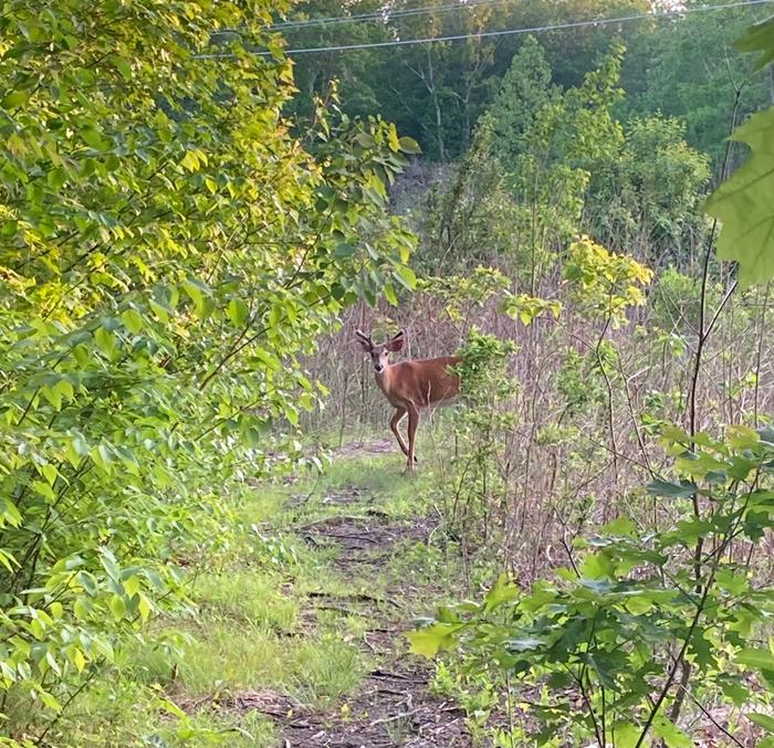 Montville Conservation Center