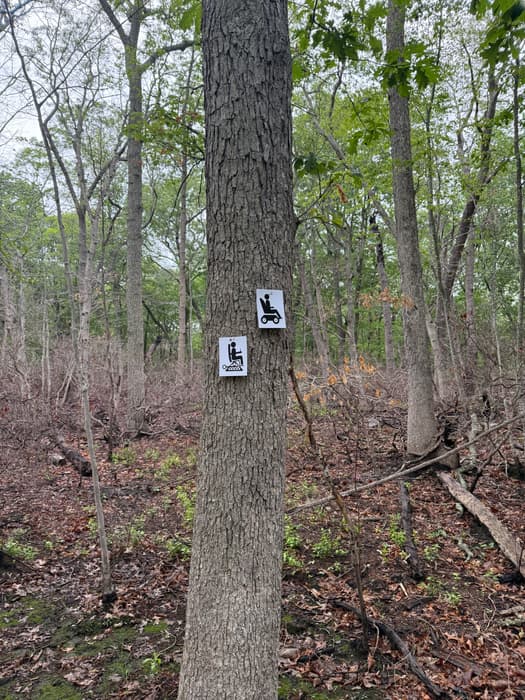 (Credit: Emily Wilson)