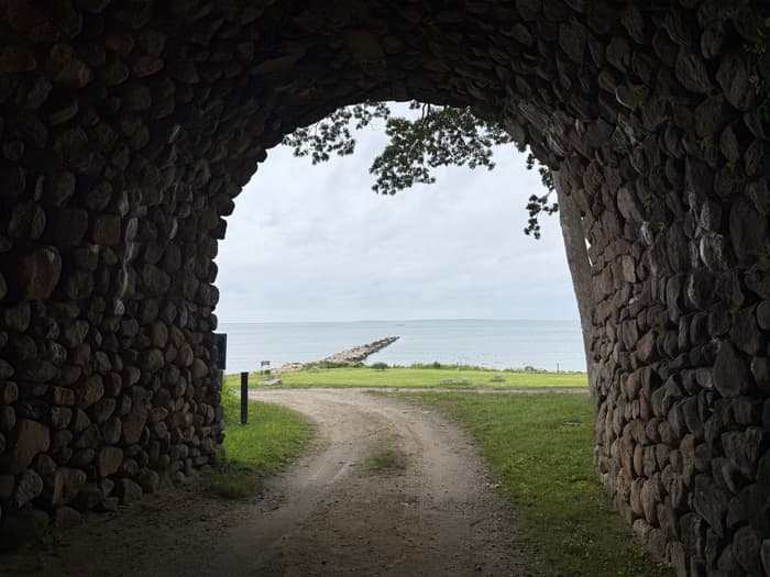 (Credit: Emily Wilson)