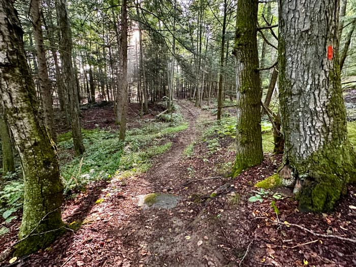 Brooktail Tappen Brook Trails - Connecticut Trail Finder
