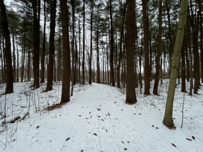 greenway covered in snow (Credit: John Bolduc)