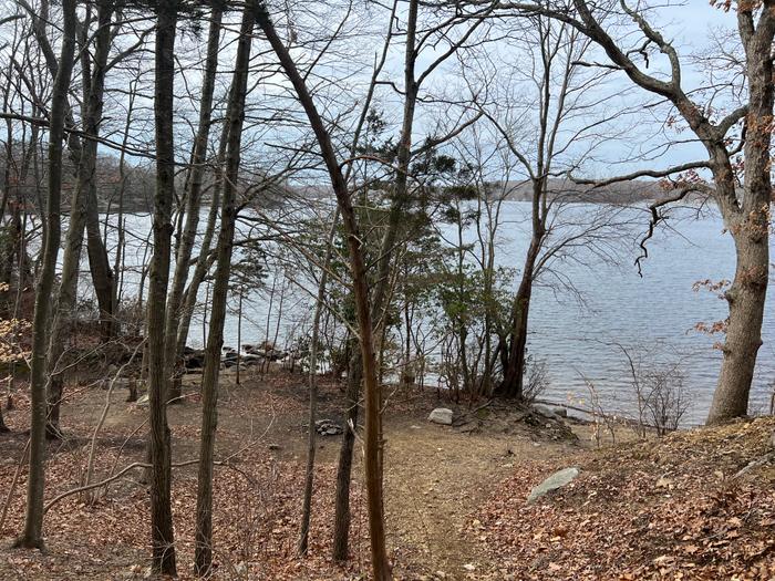 (Credit: Emily Wilson)