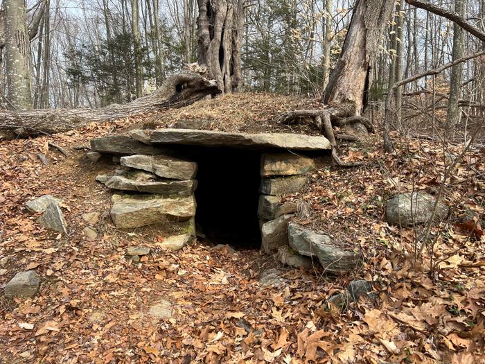 (Credit: Emily Wilson)