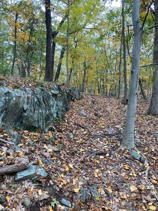 moderate climbs south of Park Lane (Credit: AK/ Trail Finder)