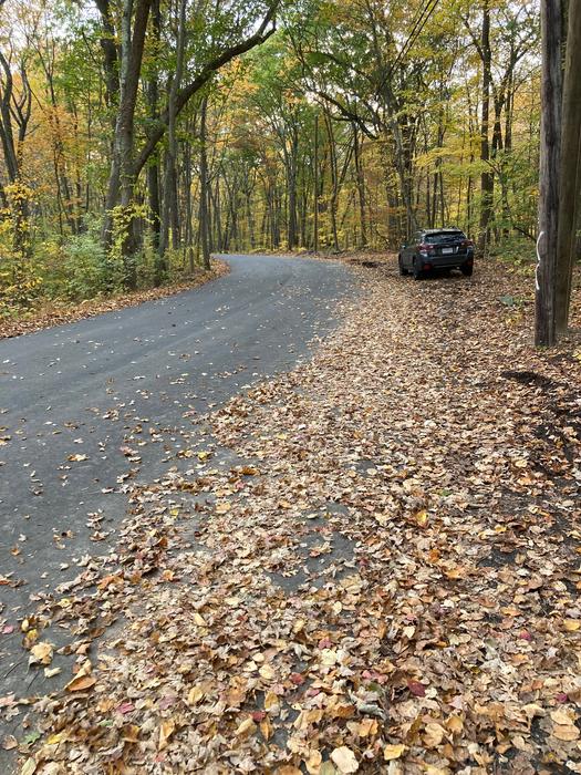 Old Derby Trail along Park Lane (Credit: AK/ Trail Finder)