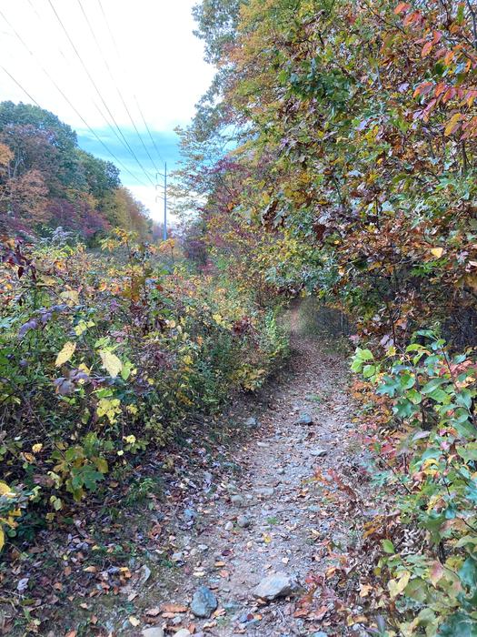 Along the power lines (Credit: AK/ Trail Finder)