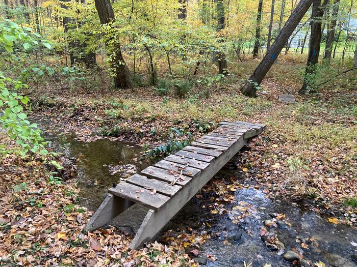 crossing the Racebrook (Credit: AK/ Trail Finder staff)