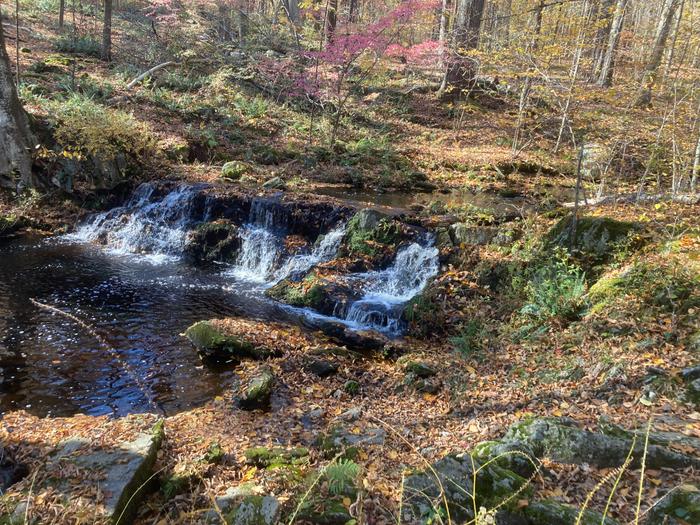 Wepawaug Falls (Credit: AK/ TrailFinder)