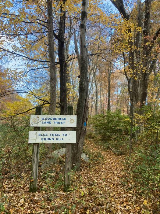 Newton St exit from Round Hill (Credit: AK/ TrailFinder staff)