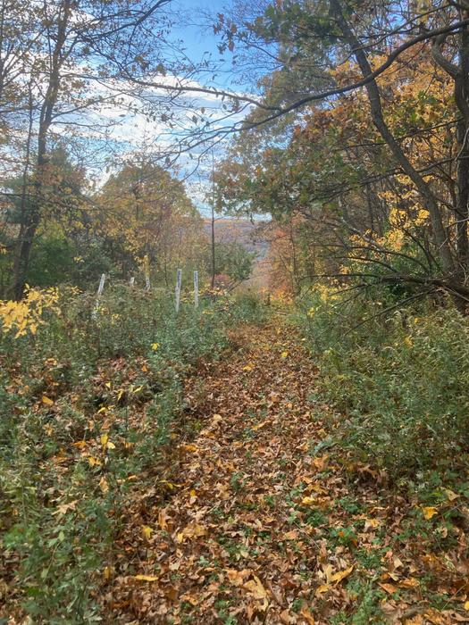 view west from Round Hill (Credit: AK/ TrailFinder staff)