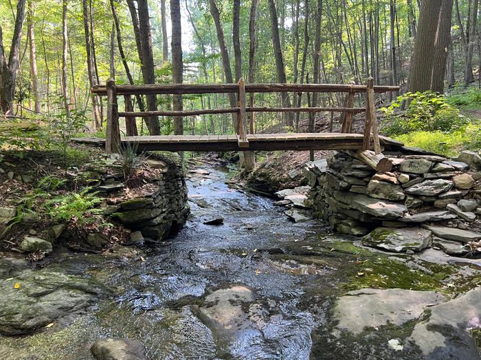 (Credit: Emily Wilson)