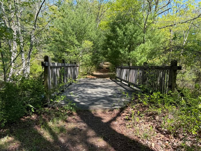 wooden footbridge on the Chatfield Trail (Credit: Emily Wilson)