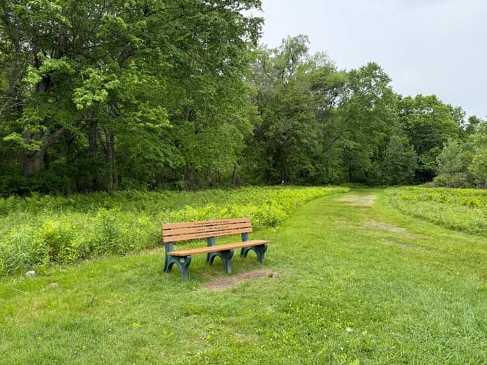bench on a grass portion of trail (Credit: Emily Wilson)