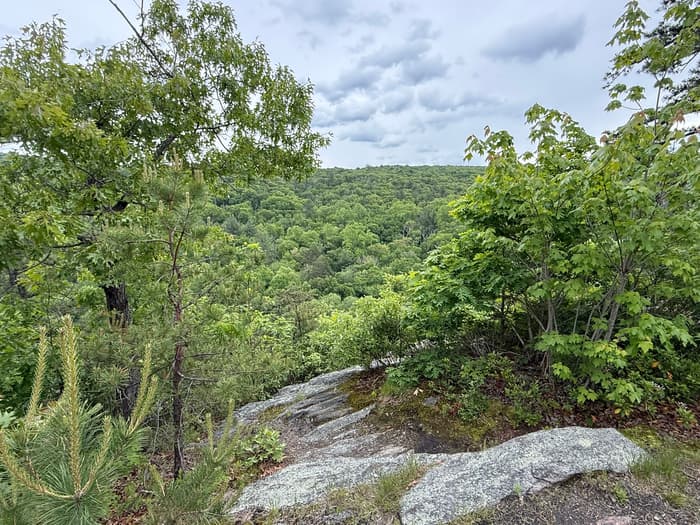 scenic view from the Lookout Trail in summer (Credit: Emily Wilson)